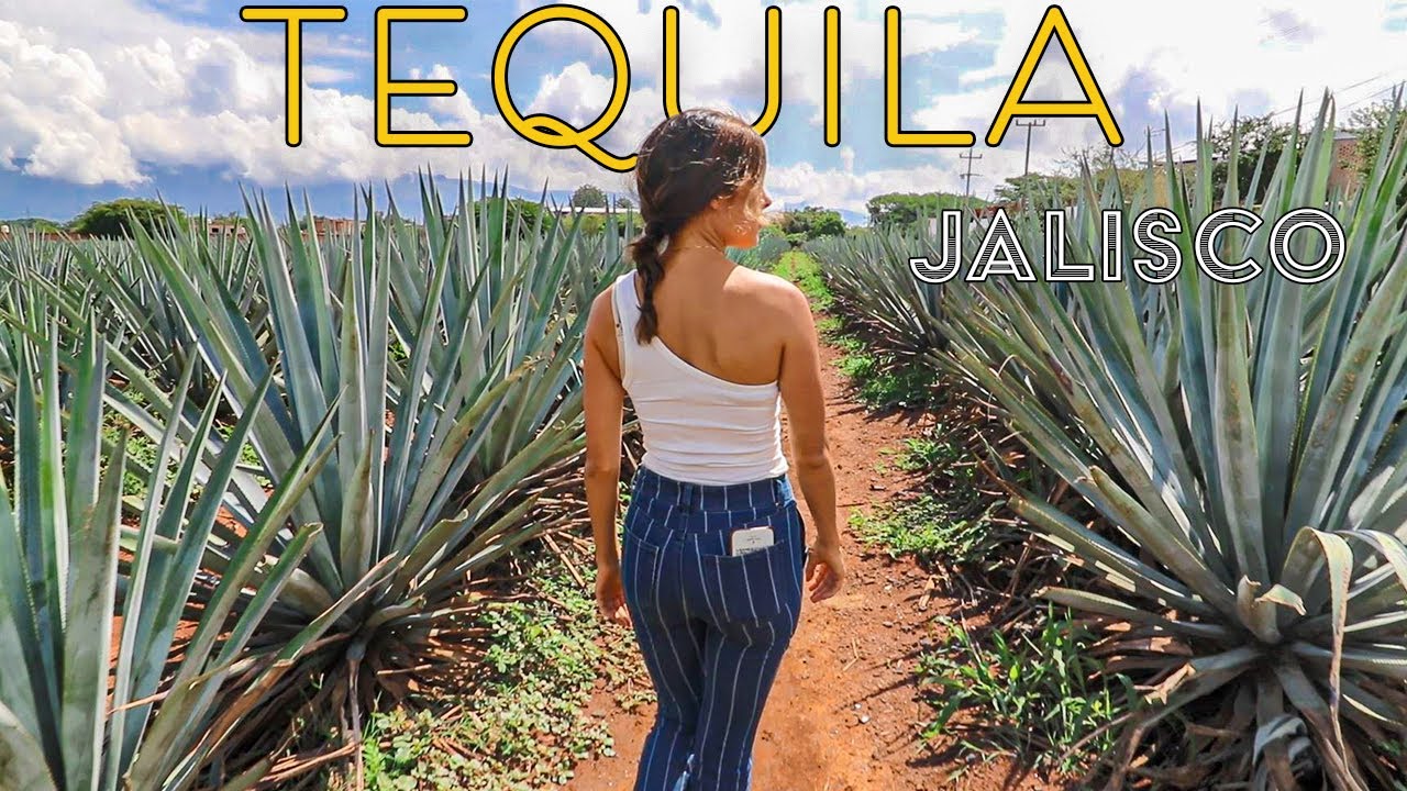 An UNFORGETTABLE Trip to TEQUILA, MEXICO// Learning how TEQUILA is made + I had too many margaritas