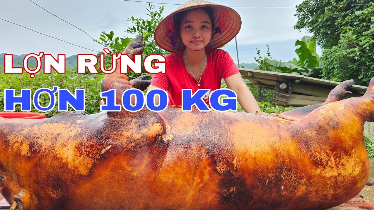 TẾT DƯƠNG LỊCH TRÊN VÙNG CAO / Lợn Rừng Hơn 1 Tạ Làm Cỗ Nhân Dịp Ngày Anh Em Sum Vầy !
