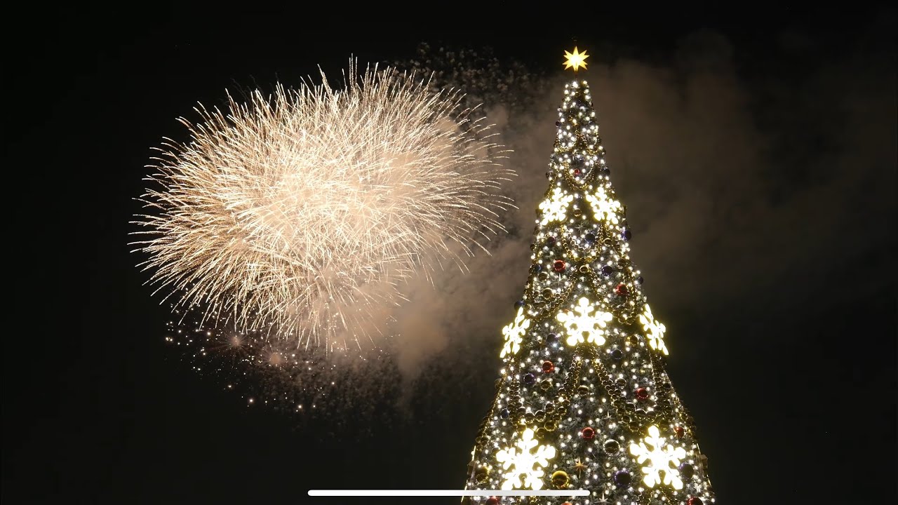 スターブライト・クリスマス2025:東京ディズニーシー 