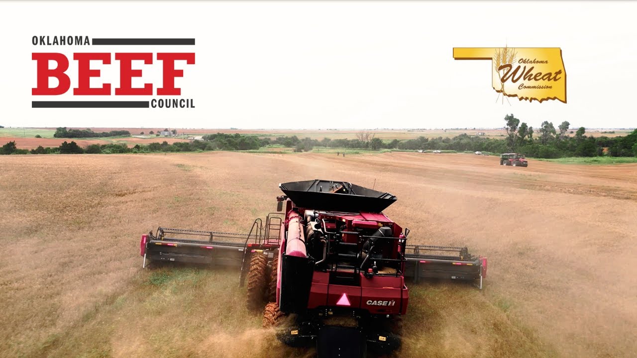 The Oklahoma Beef Council  | Grain 'N Graze in Oklahoma