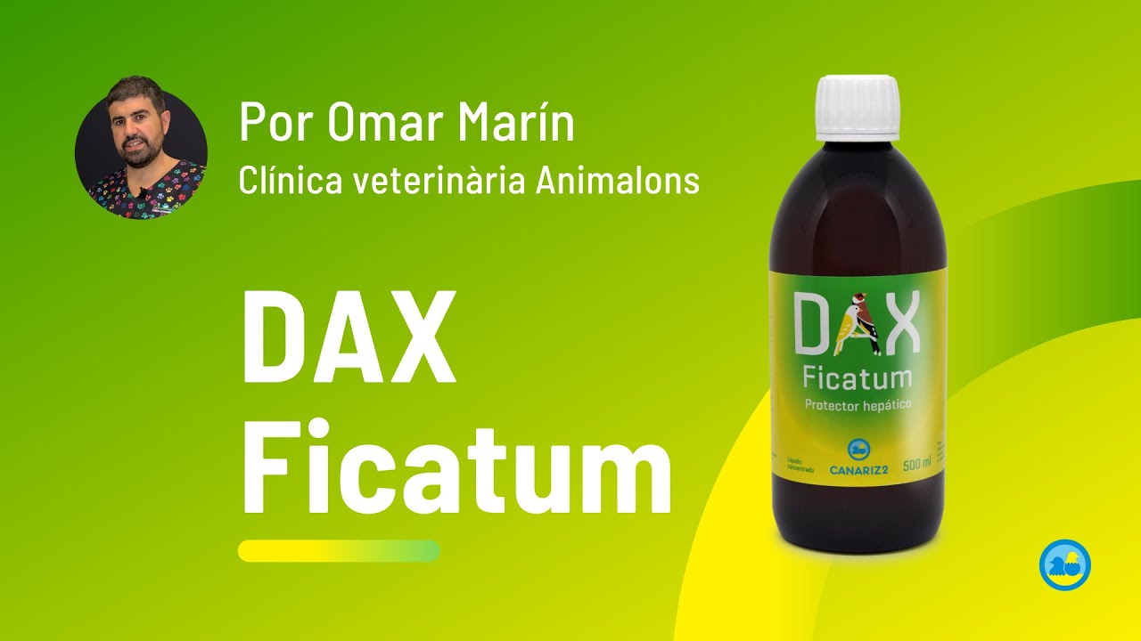 DAX Ficatum por Omar Marín