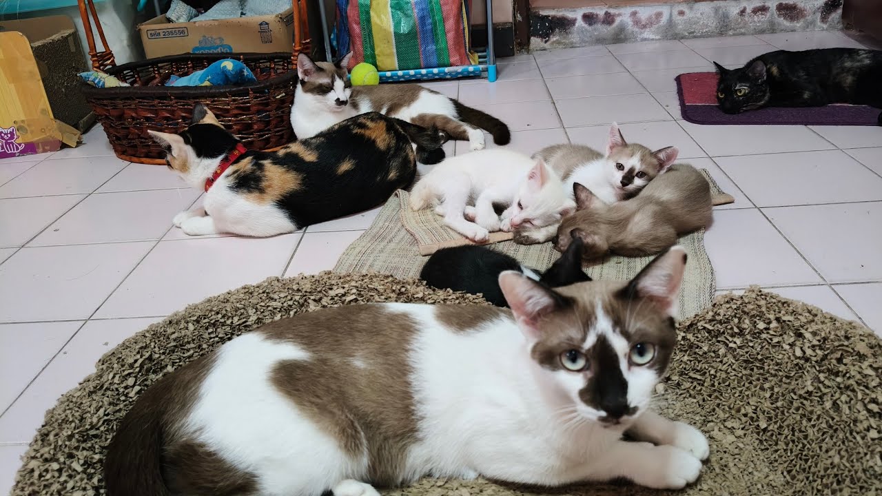 อยู่พร้อมหน้าพร้อมตาตัวเล็กตัวใหญ่