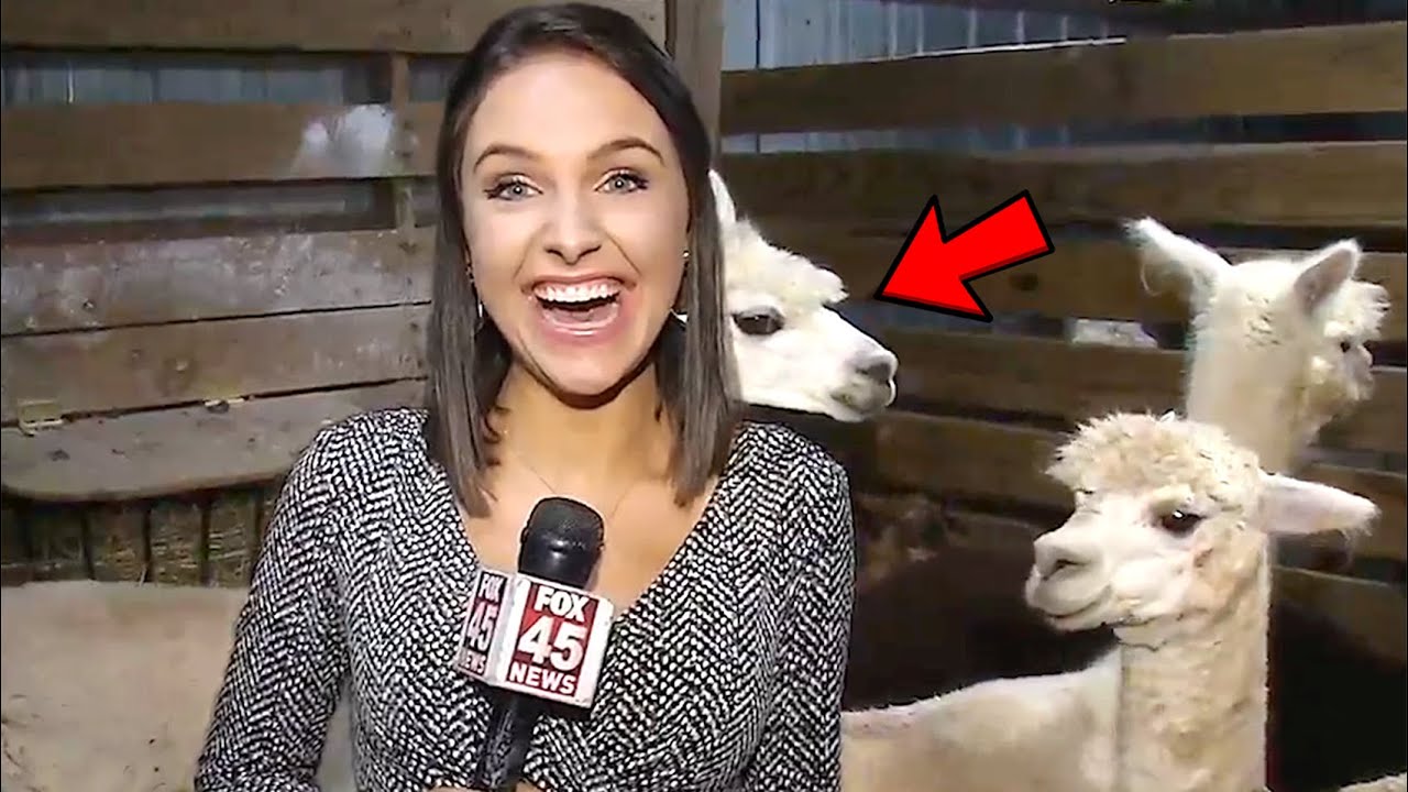 Funny News Bloopers 2022
