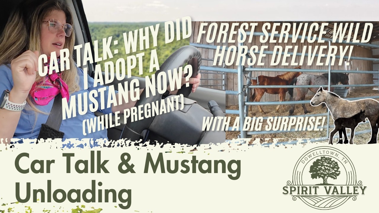 Why I Adopted a Wild Mustang in My Third Trimester (Not as Crazy as It Sounds)