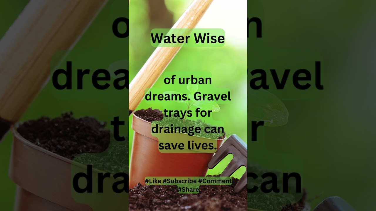 Save Your Urban Garden: Gravel Trays for Drainage 💧🌵 | 