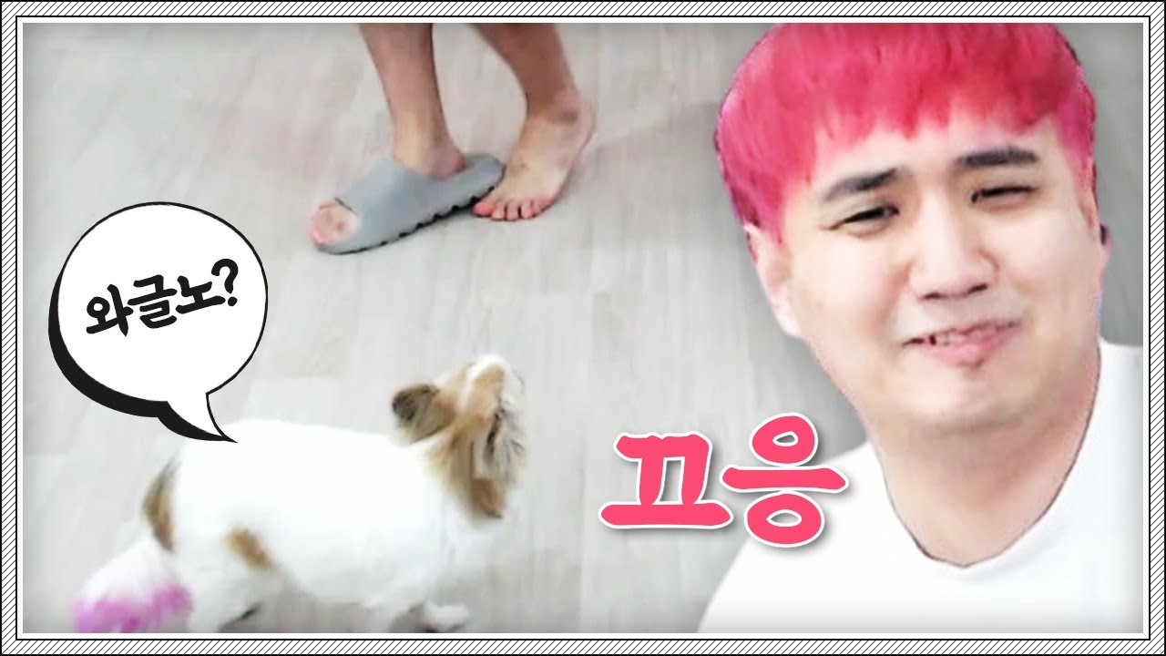 주인 니 와그러노?