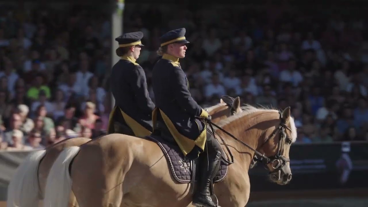 Haflinger Weltausstellung - Highlights | 31. Mai 2025 | Fohlenhof Ebbs