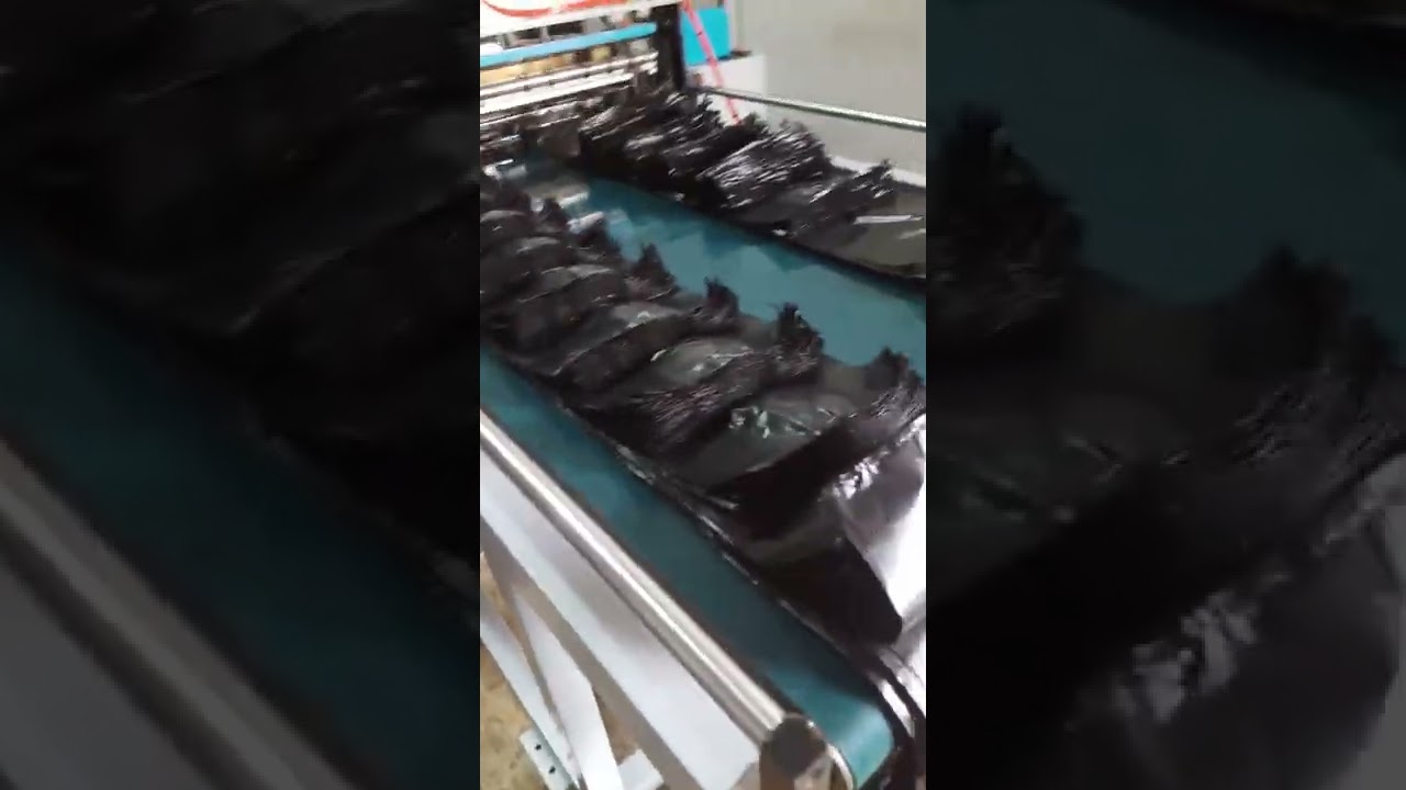 vidéo machine sachet plastique 11