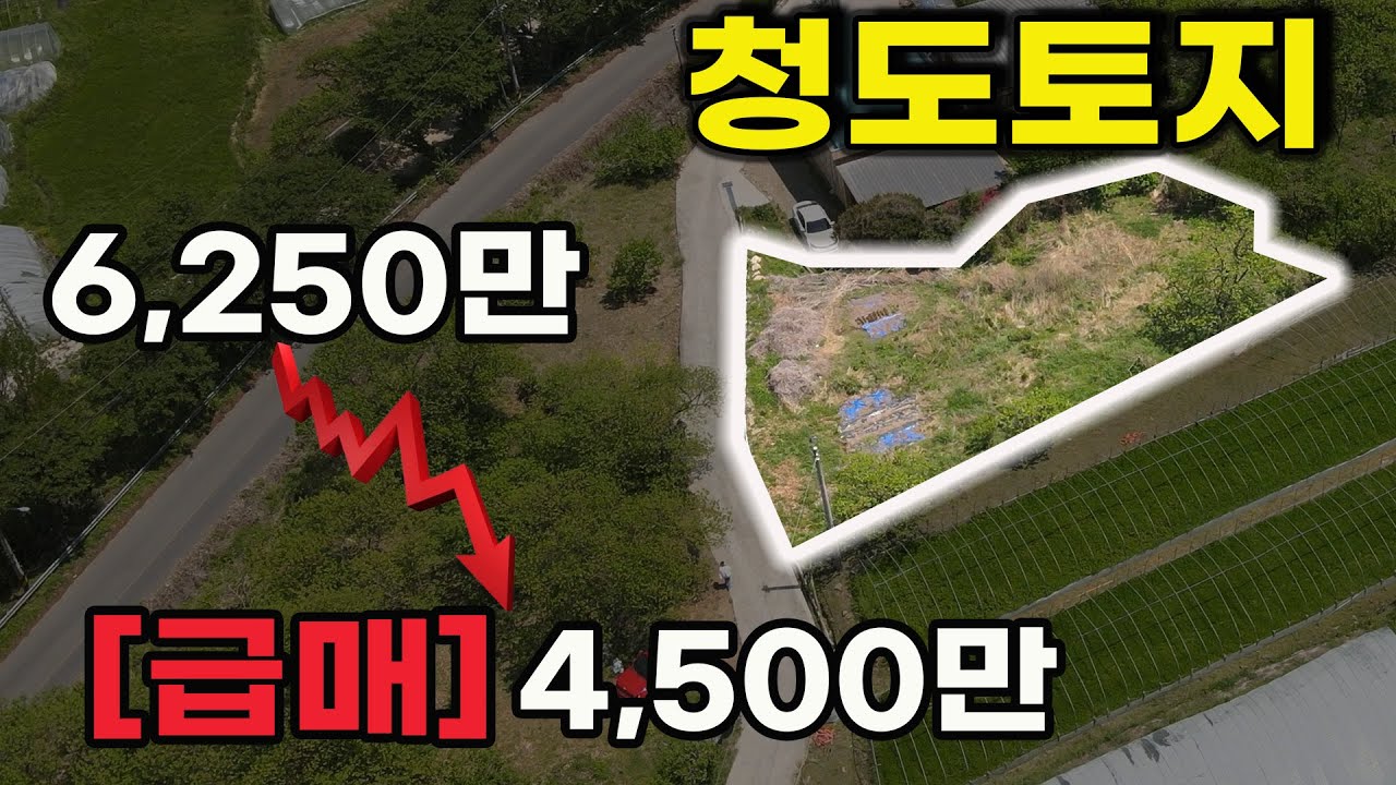 청도토지 급매 한재미나리 마을에 위치한 체류형쉼터 농막지 전원주택지로 좋은 청도땅[1025]