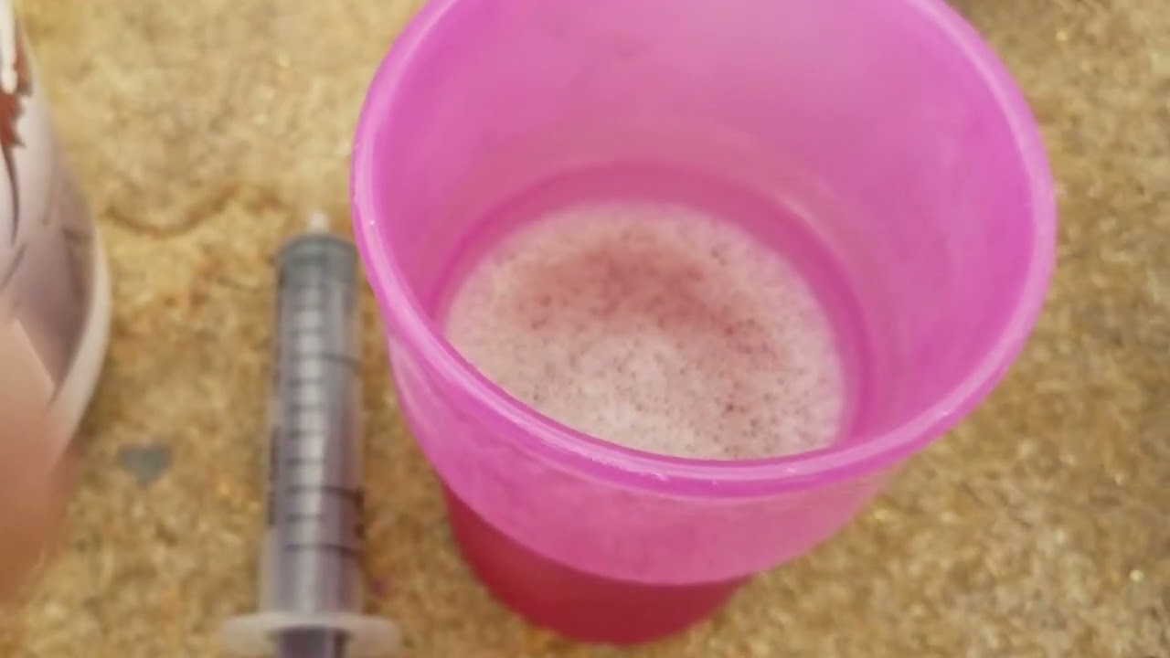 Testing Our JADAM Pesticide