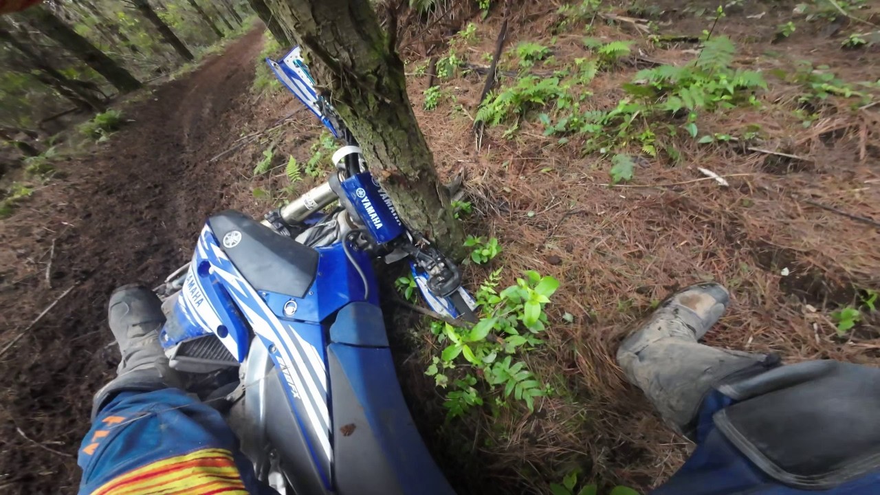 Redwoods - Crashes & Highlights