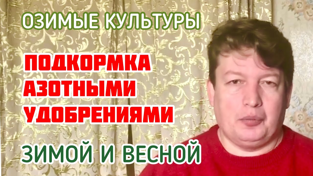 Подкормка озимых культур азотными удобрениями зимой и весной