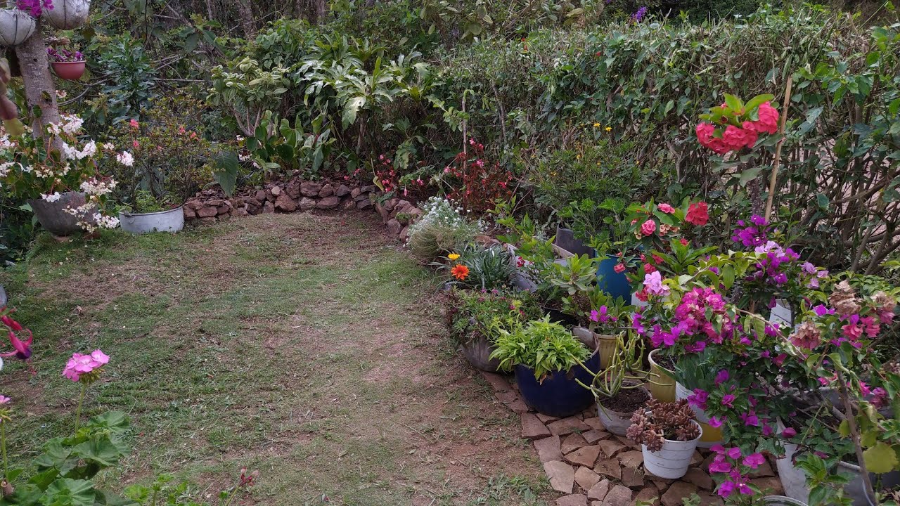 CON POCOS RECURSOS logré cambiar por completo un área del jardín | Jardín Diaz