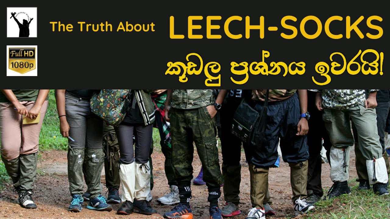 Do This to Avoid Leeches! | මේක කළොත් කූඩැල්ලා කරදරයක් නෙවෙයි | Sinhala Vlog