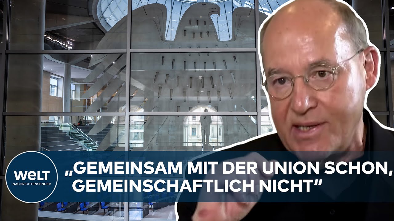 WAHLRECHTSREFORM: Gregor Gysi - 