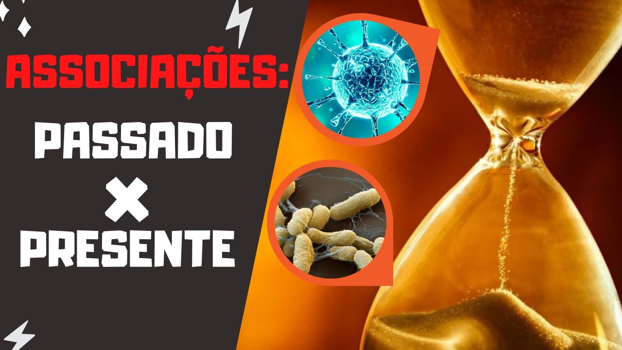 Iluminismo, sociedade estamental, religi&atilde;o e as rela&ccedil;&otilde;es com a era atual.