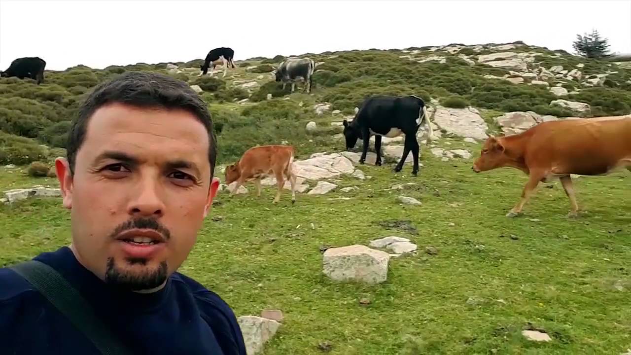 Chélia vous ouvrent ces bras ! ( Aurès - Algérie )