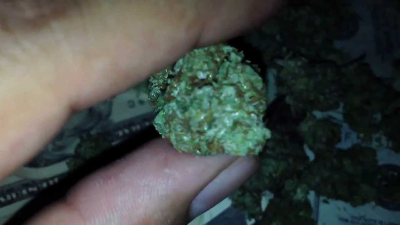 P-98 strain (SpacePrincess X PurpleKush)
