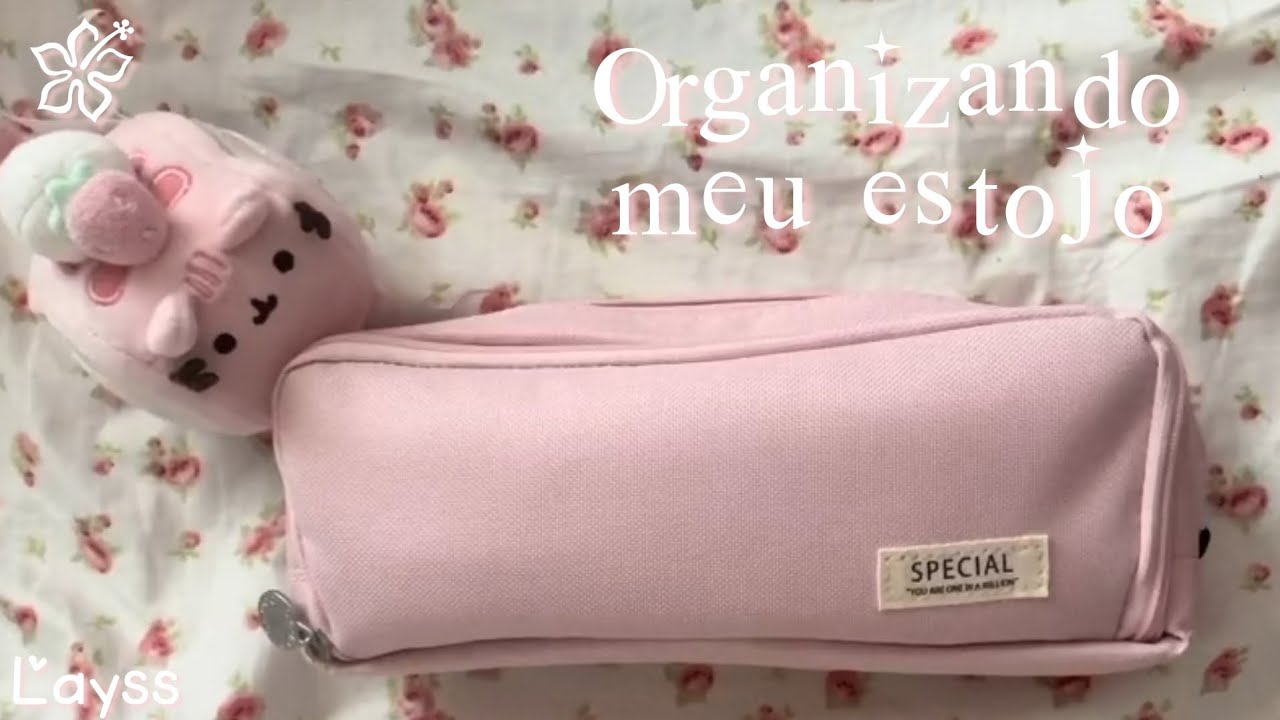 Organizando meu estojo 2025! 🌸📚