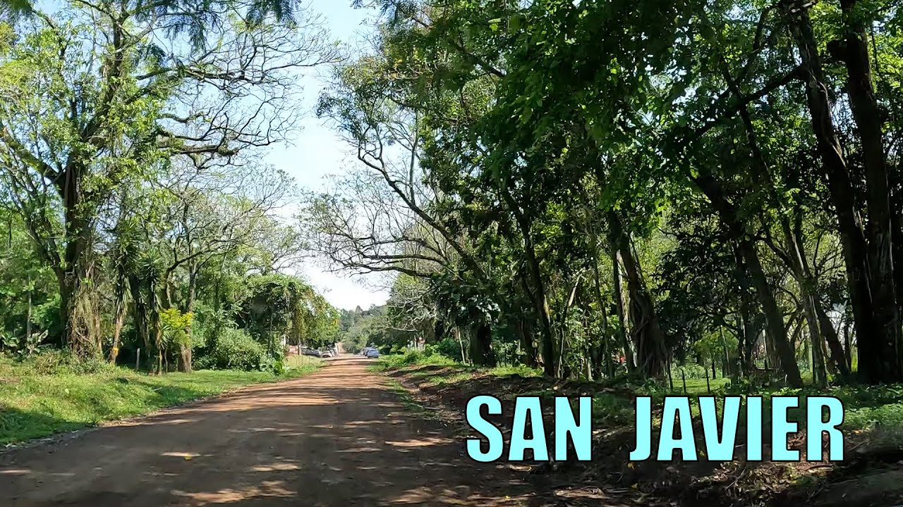 Verde paraíso bordeando el Uruguay por la ruta 2 llegando a San Javier, Misiones 🖐😍