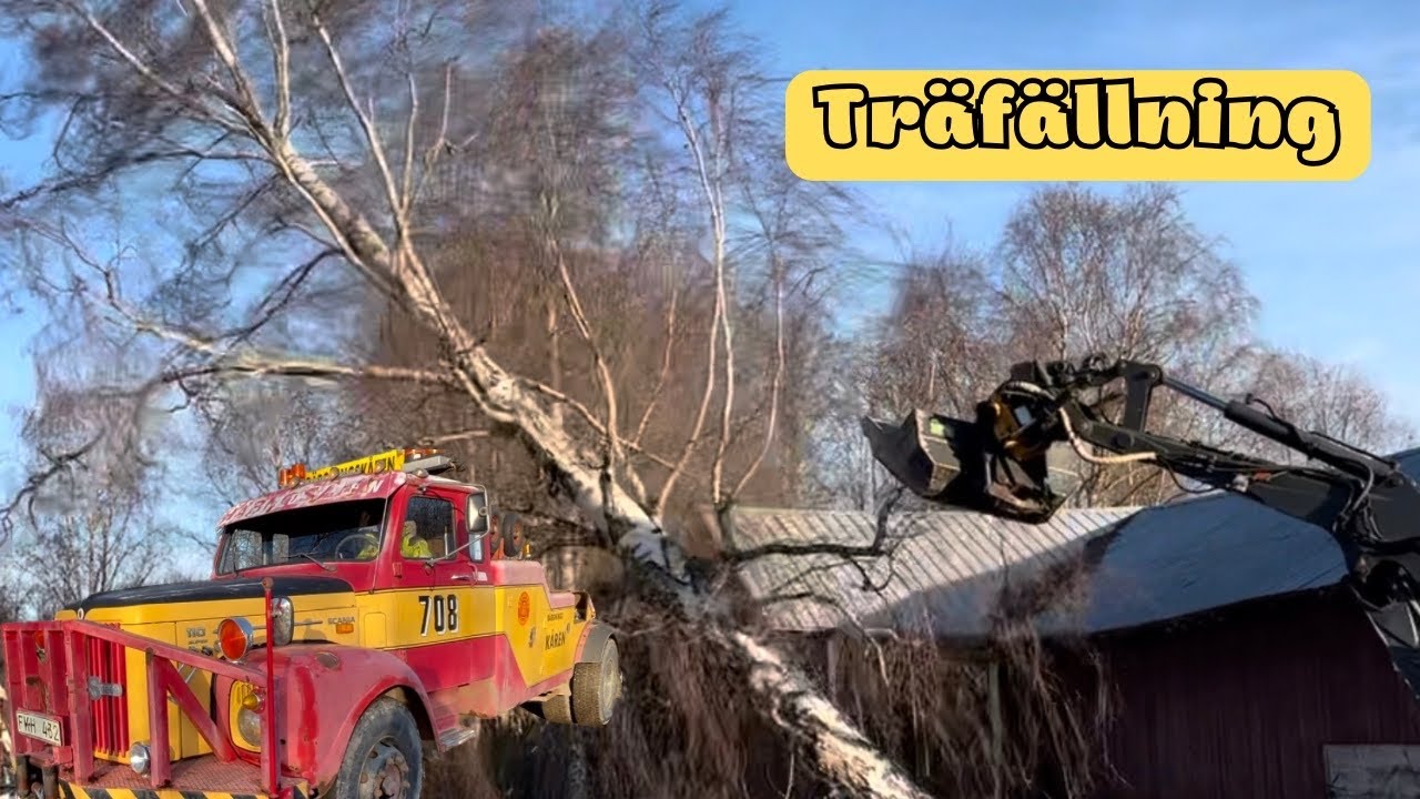 Bärgningsbil hjälper till vid trädfällning