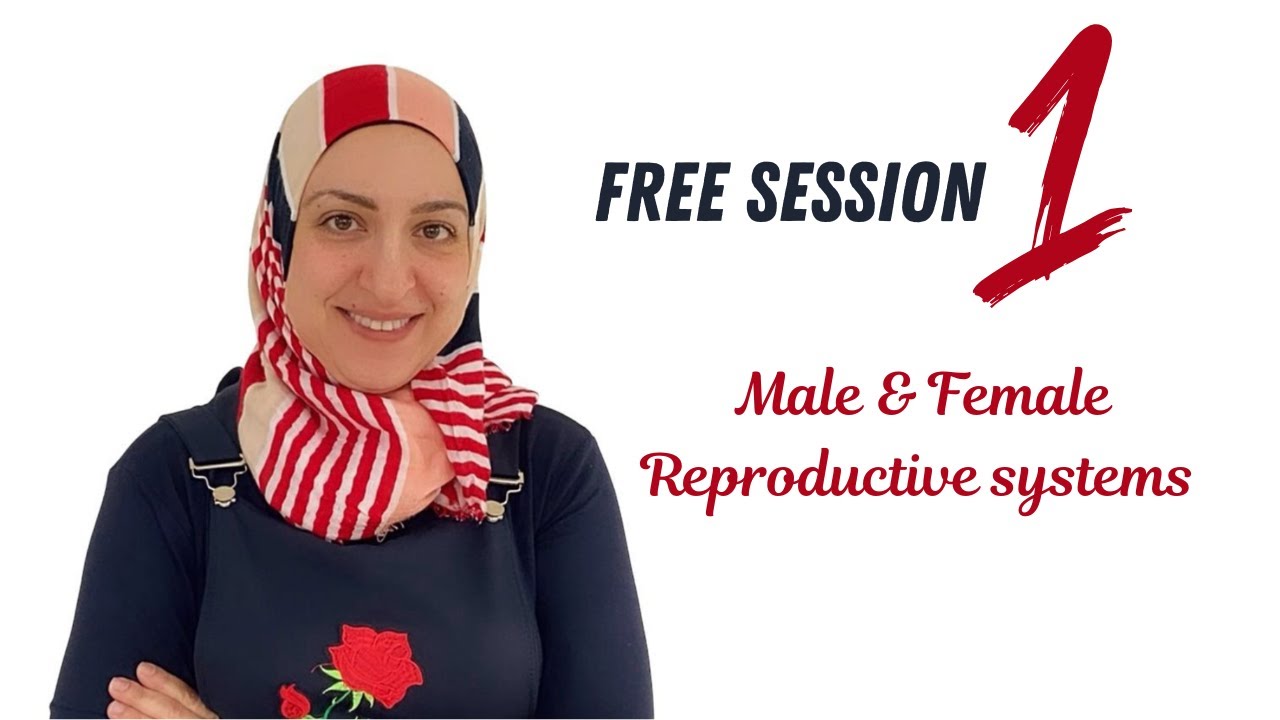 Male and female reproductive systems (Free sessions 1)