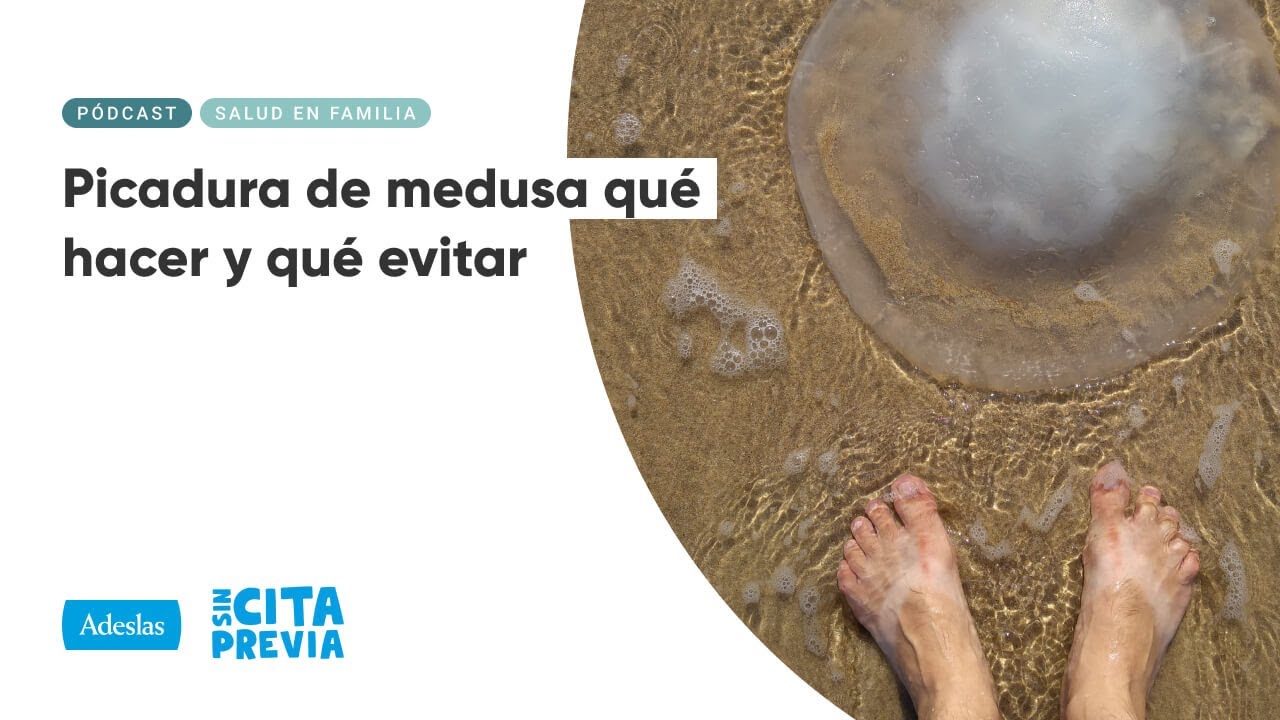 Picadura de medusa qué hacer y qué evitar | Ep. 04x46