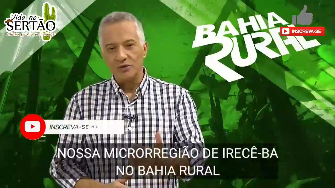 Criador de ovelhas dorper da microrregião de Irecê-BA - 21.06.2021.