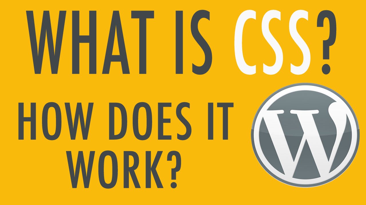 What is CSS? How can you use it in WordPress?