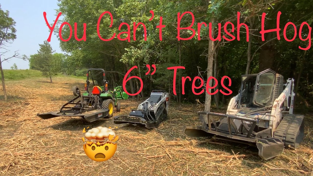 Extreme Brush Hogging 6” trees, Tractor, Bobcat and mini loader