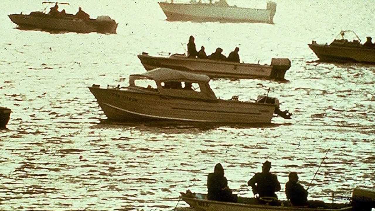 Salmon in the Great Lakes: Part 2, Open Water