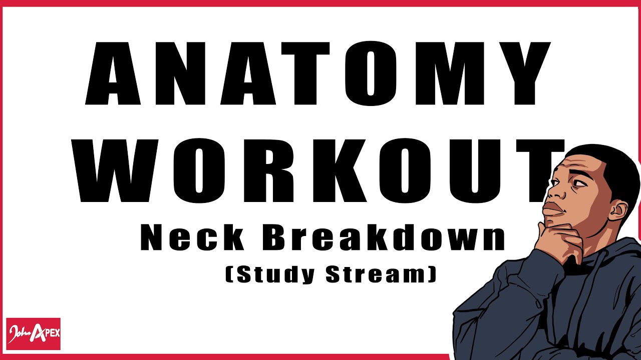 Anatomy for Artists - Practice stream