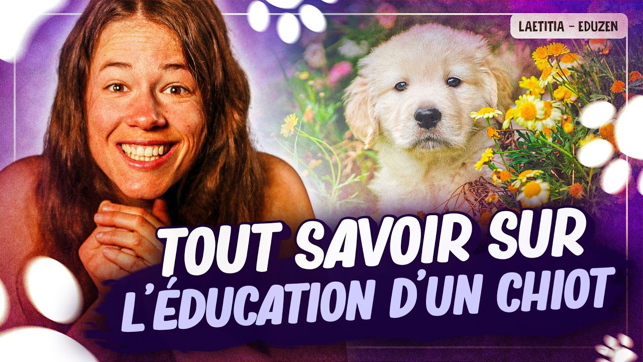 &Eacute;duquer un chiot : oubliez ce qu&rsquo;on vous a dit ! Voici 4 choses &agrave; savoir | Laetitia Gonnon - Eduzen