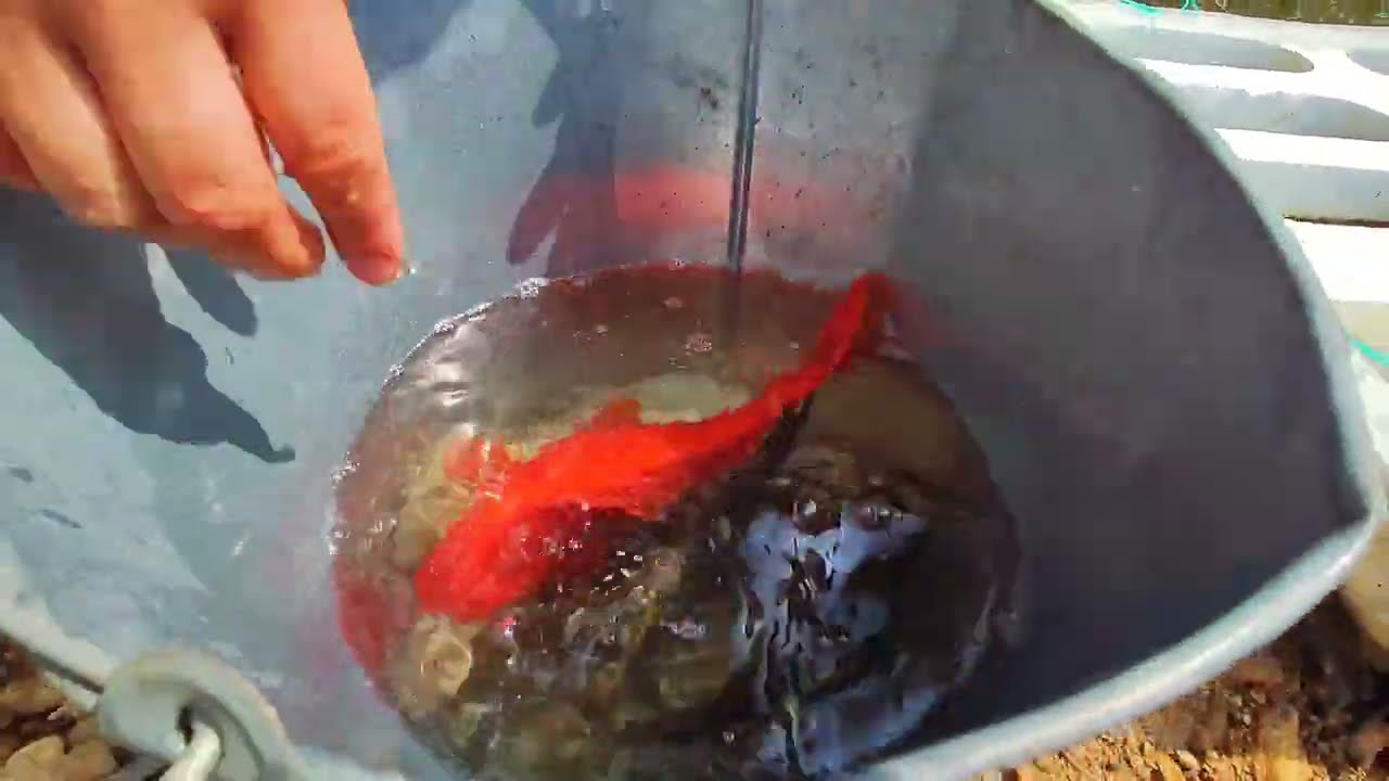 Инь ловит морепродукты и готовит вкусные блюда для своей семьи.