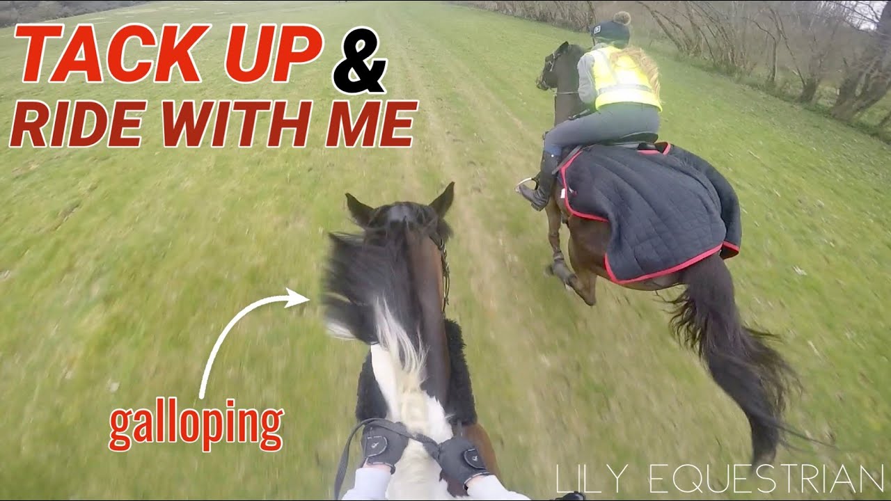 TACK UP & RIDE WITH ME HACKING GOPRO | Lily & Inky VS Gates