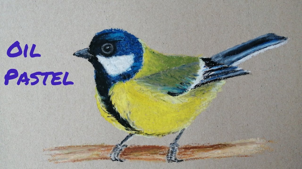 Kohlmeise mit Öl Pastell zeichnen/ How to draw a titmouse/ Синичка масляной пастелью/ Mésange