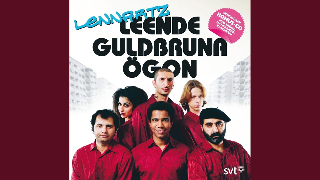 Du gav mig k&auml;rlek