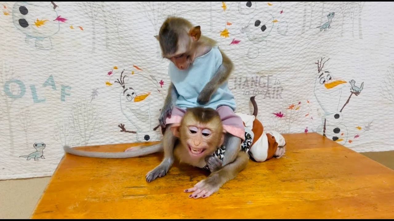 Omq..!! What are you doing koy??