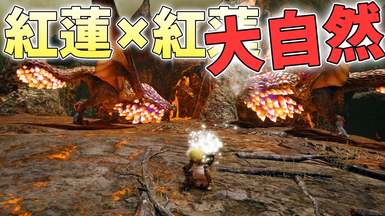 一切武器を使わずに大自然の力だけでイベクエ紅蓮バゼル2頭を圧倒したい【モンハンライズサンブレイク実況】