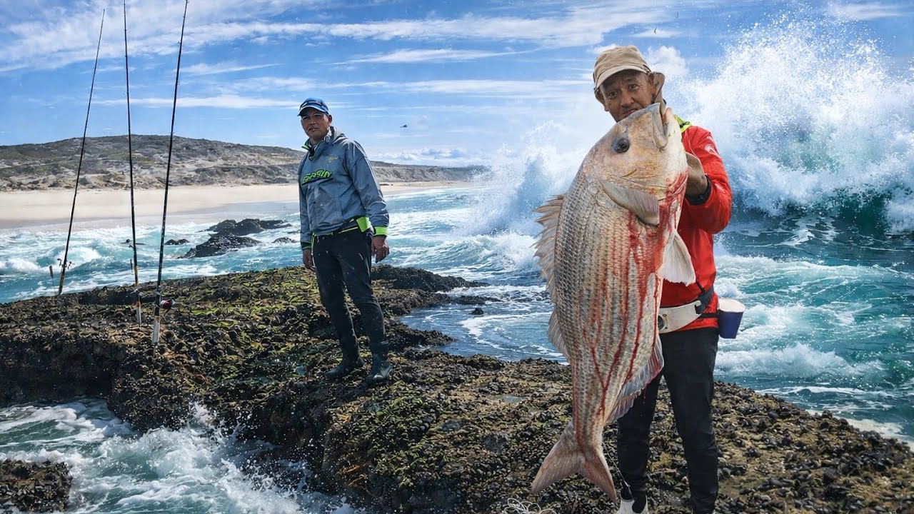Targeting Musselcracker | Steenbras | Galjoen In ARNISTON