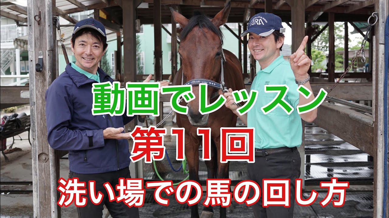 【動画で乗馬レッスン#11】洗い場での馬の回し方｜神戸からすぐの乗馬クラブ明石乗馬協会