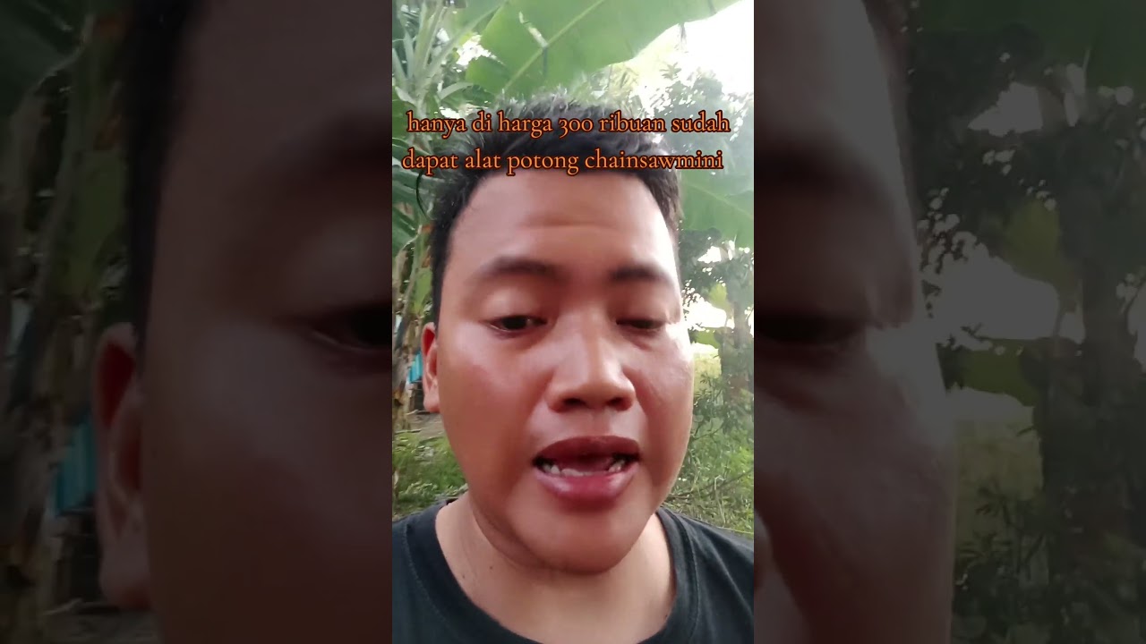 review chainsaw mini portebel dari zper