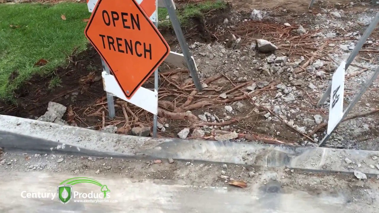 Sidewalk Repair from Tree Root Damage | Root Barrier Installation