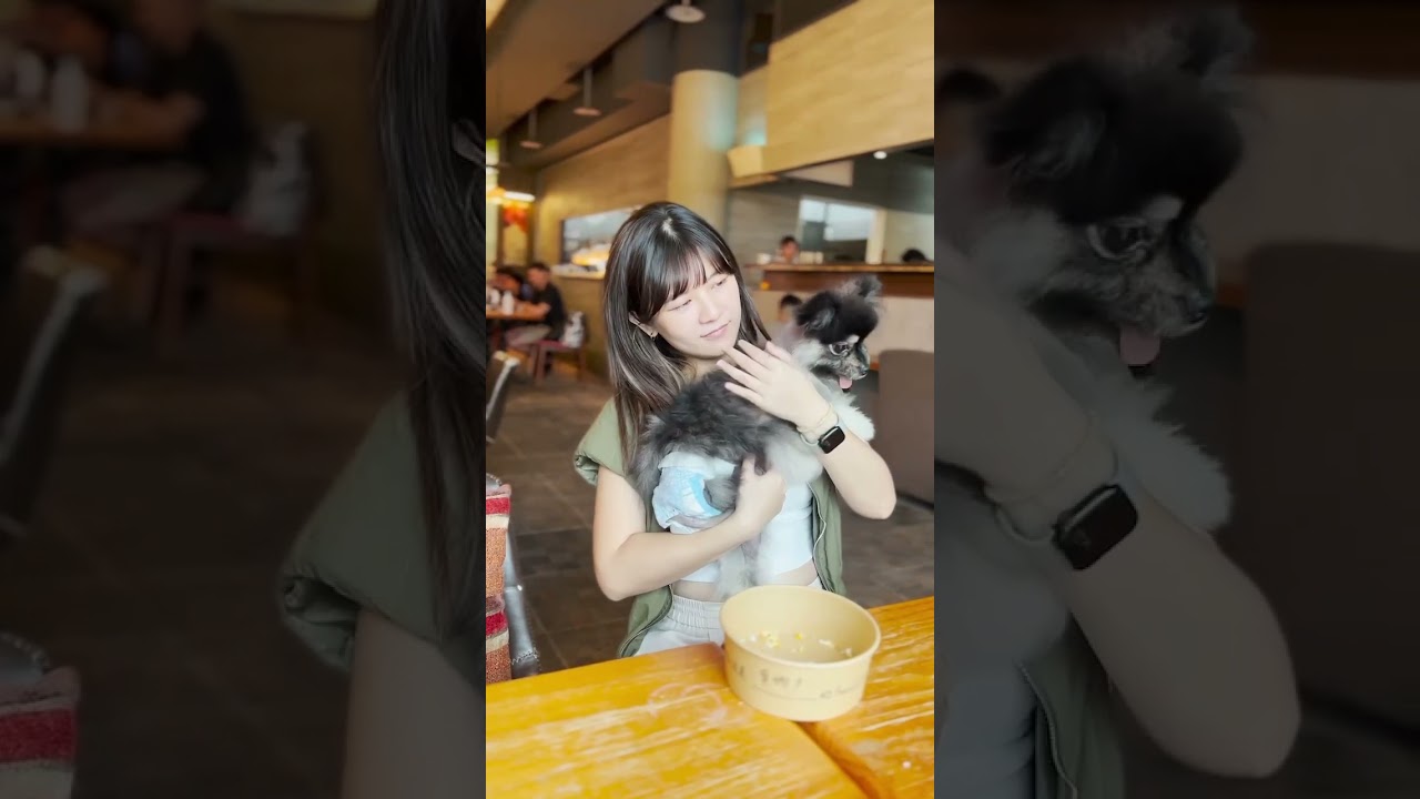 驚世一家 愛用推薦❤️日本No.1 嬌聯寵物 禮貌帶 #到哪都一直在一起