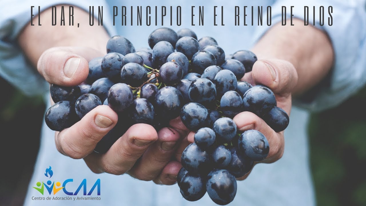 El DAR, un principio en el Reino de Dios