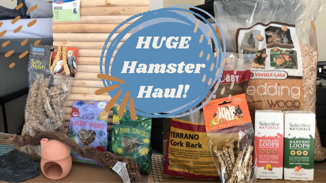 HUGE Hamster Supplies Haul 🛒 🐹 | Sam & Hamhams