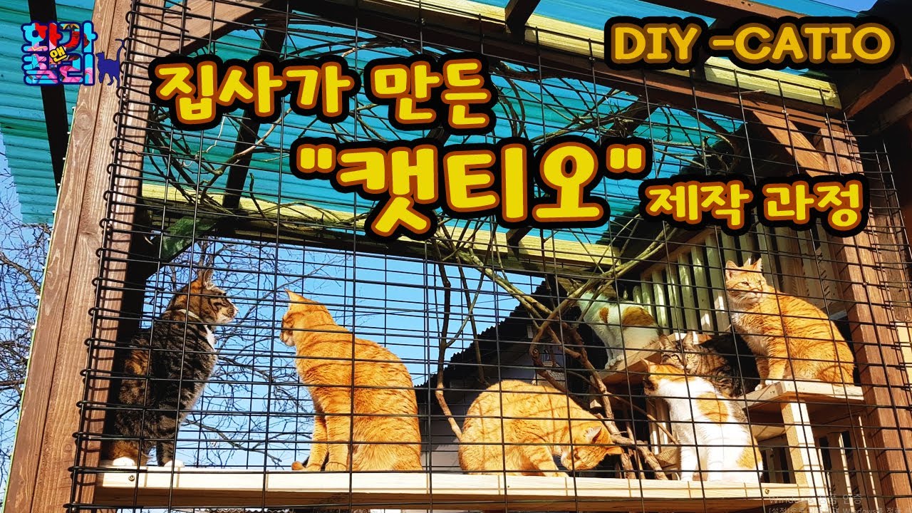 DIY) 내가 만든 고양이 야외 테라스! 캣티오 만들기!