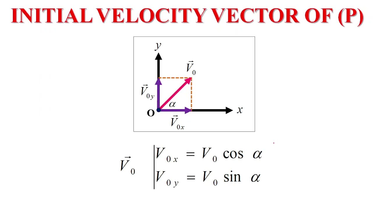 Chapter 8 Newtons 2nd Law - Free Fall in Two Dimensions (Projectile Motion)