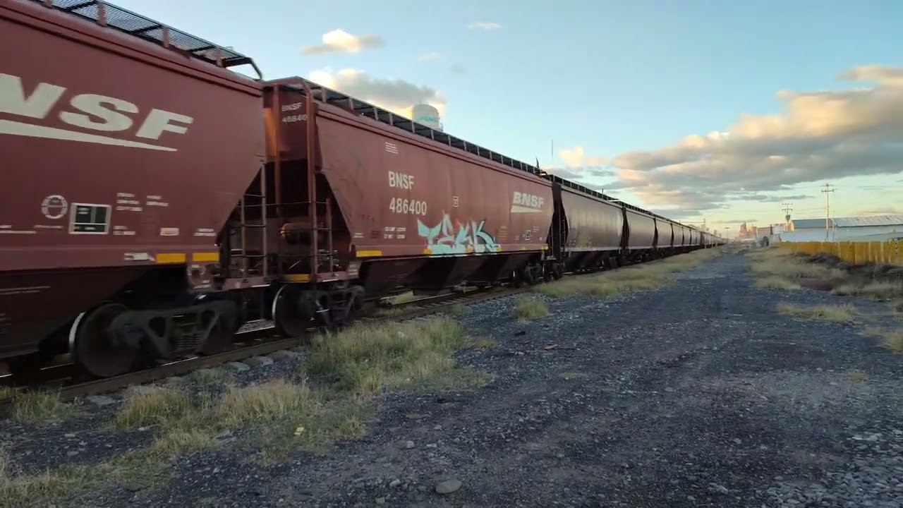tren carrusel sur noviembre del 2023