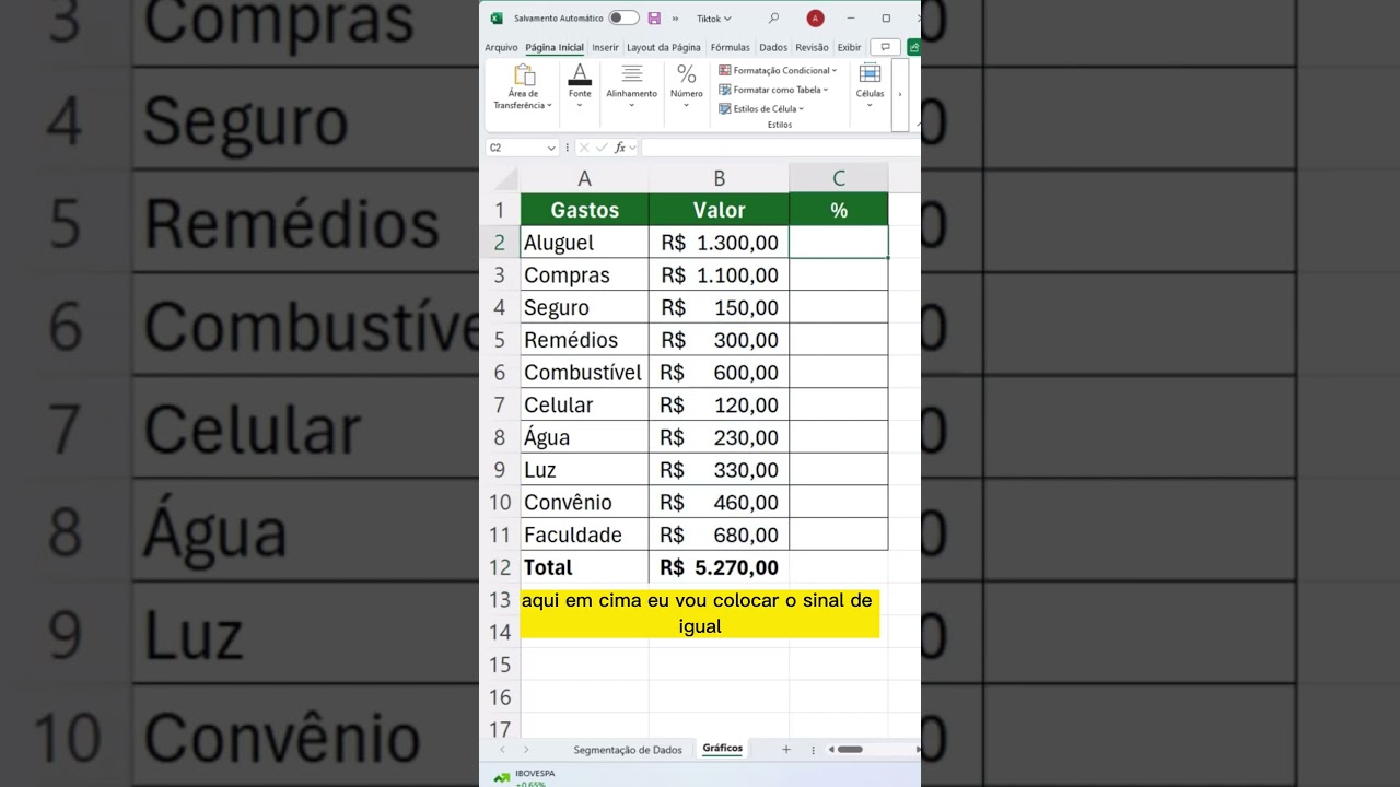 COMO FAZER CONTROLE DE GASTOS NO EXCEL? (F&aacute;cil e Organizado!)